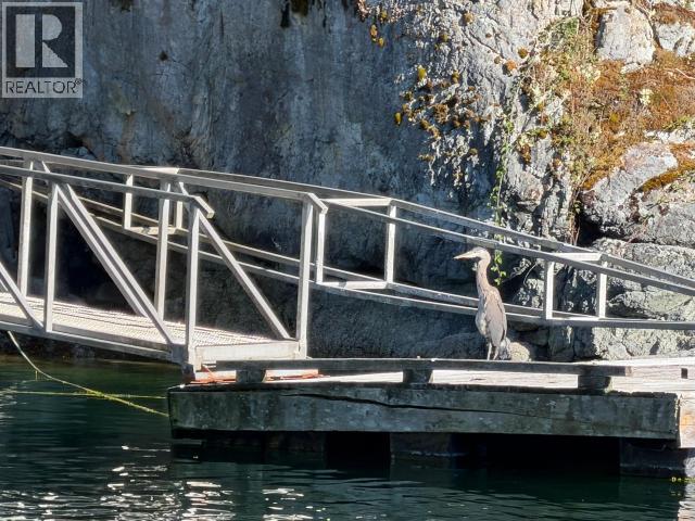 REFUGE COVE - Image 37