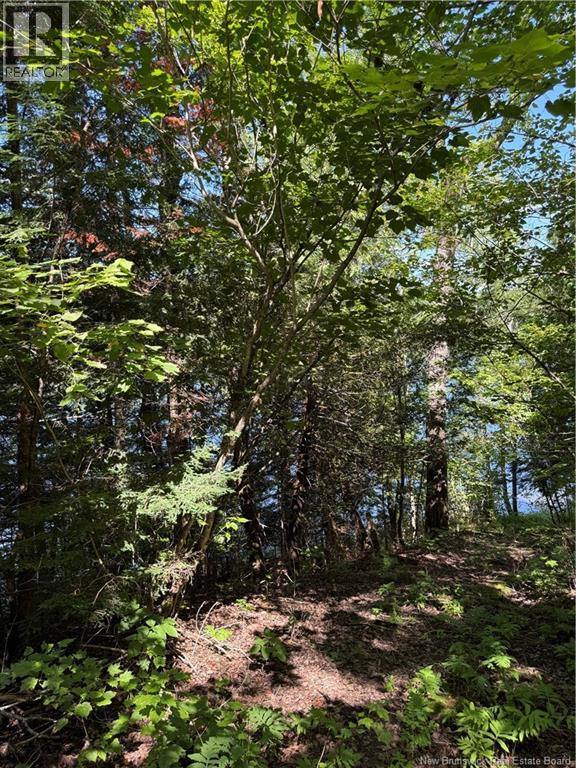 2467 Route 118 - Image 25