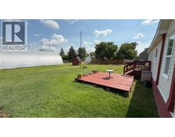 209 2 Avenue, Craigmyle, AB T0J0T0 Photo 27