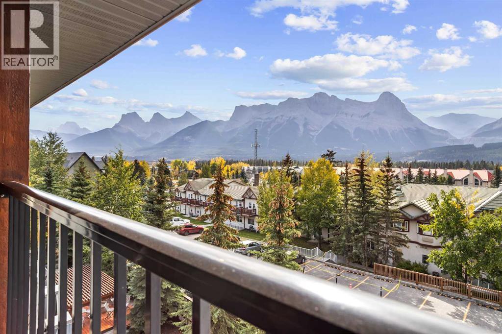 #313C 1818 Mountain Avenue - 19