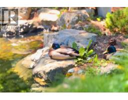 44 840 Craigflower Rd, Esquimalt, BC V9A2X1 Photo 48