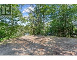 1411 Tock Lane, Algonquin Highlands, ON P0A1E0 Photo 38