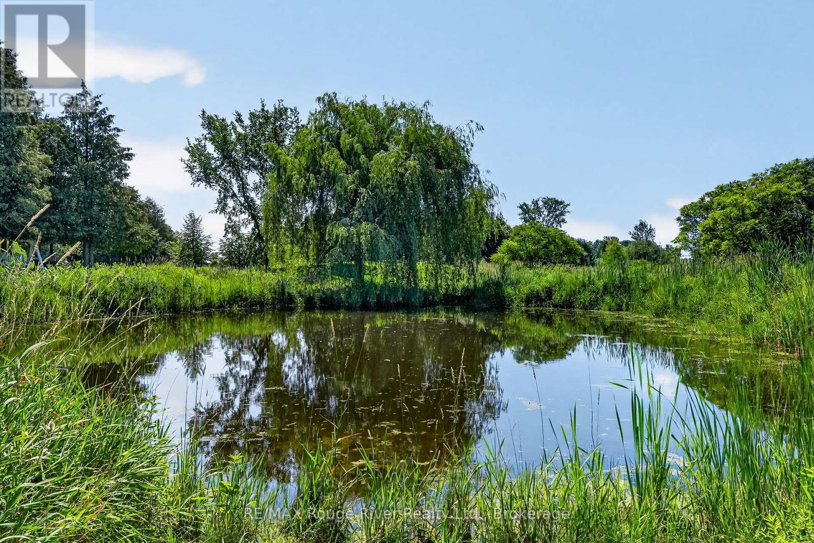 638 COUNTY RD 28 - Image 49