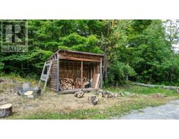 2884 Old Hastings Road, Limerick, ON K0L1P0 Photo 33
