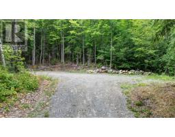 2884 Old Hastings Road, Limerick, ON K0L1P0 Photo 35