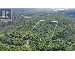 2884 Old Hastings Road, Limerick, ON K0L1P0 Photo 47