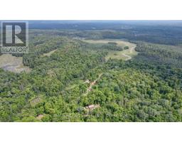 2884 Old Hastings Road, Limerick, ON K0L1P0 Photo 48