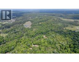 2884 Old Hastings Road, Limerick, ON K0L1P0 Photo 49