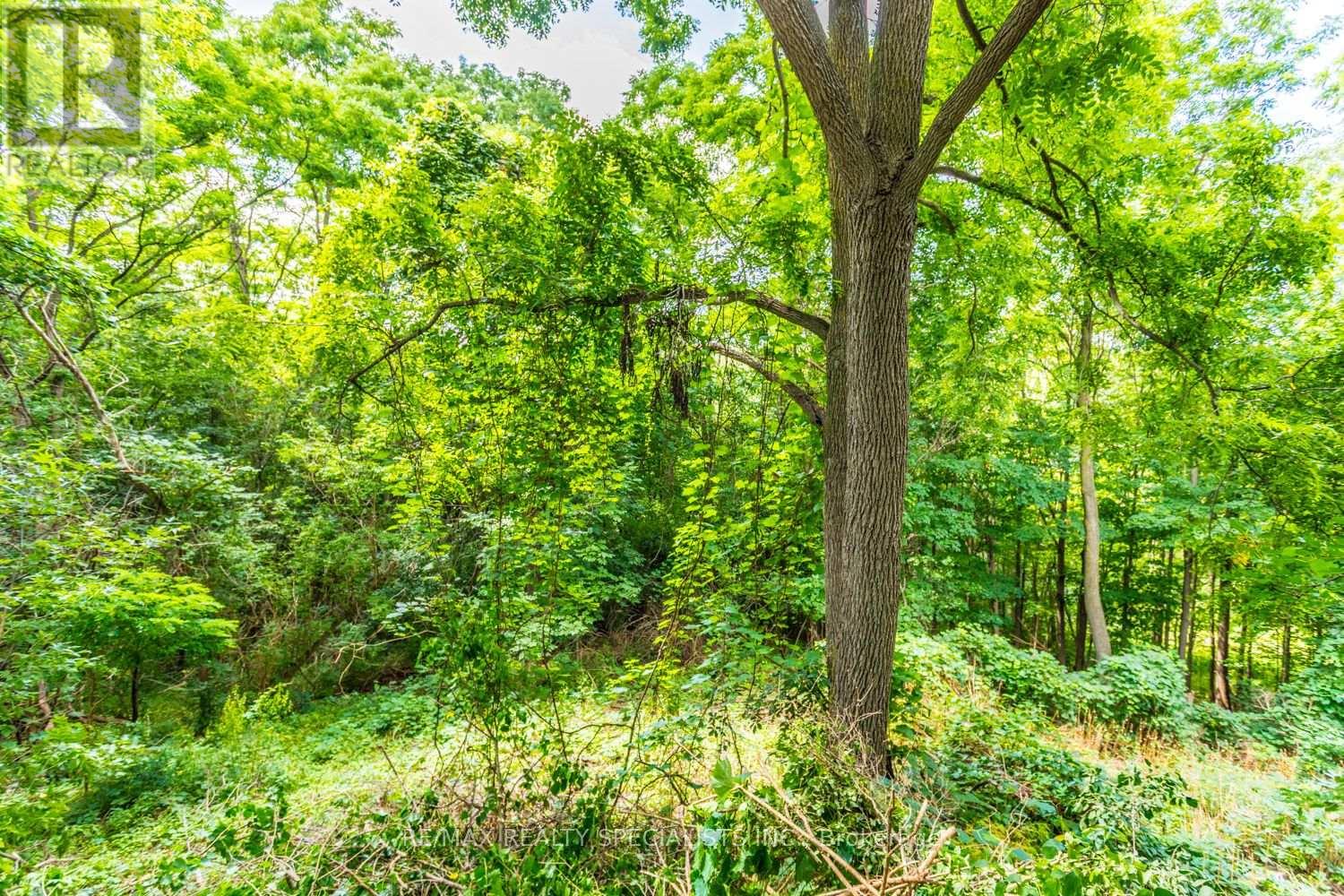 22 HEATHVIEW AVENUE - 45