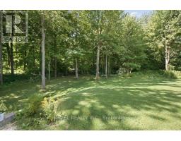 1299 County Road 23, Norfolk, ON N0E1G0 Photo 47