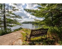 1037 Sunrise Drive S, Gravenhurst, ON P1P1R3 Photo 20
