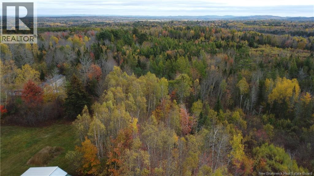339 McMinn Road - 5