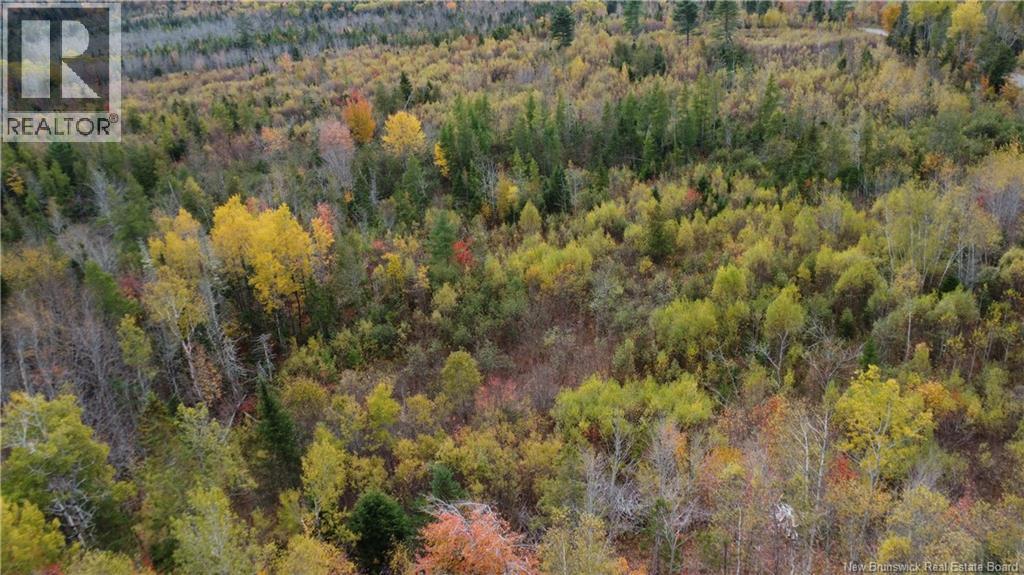 339 McMinn Road - 7