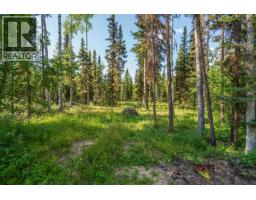 52495 Guest Road, Cluculz Lake, BC V0J3A3 Photo 38