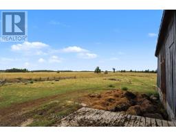 357 King's Wharf Road, Kawartha Lakes, ON K0M1L0 Photo 32