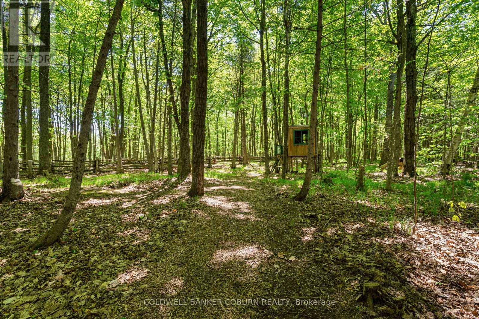 397 BURCHILL ROAD - 37