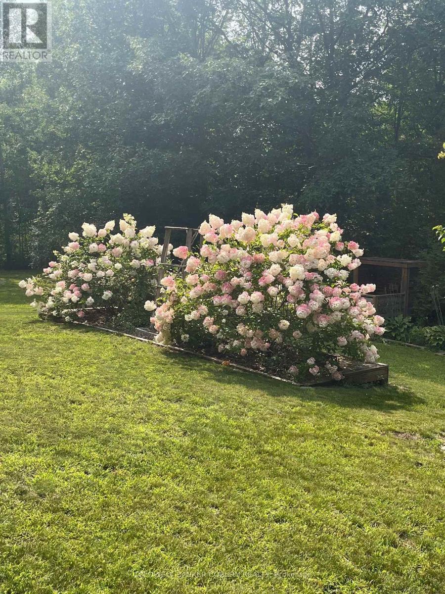 397 BURCHILL ROAD - 50
