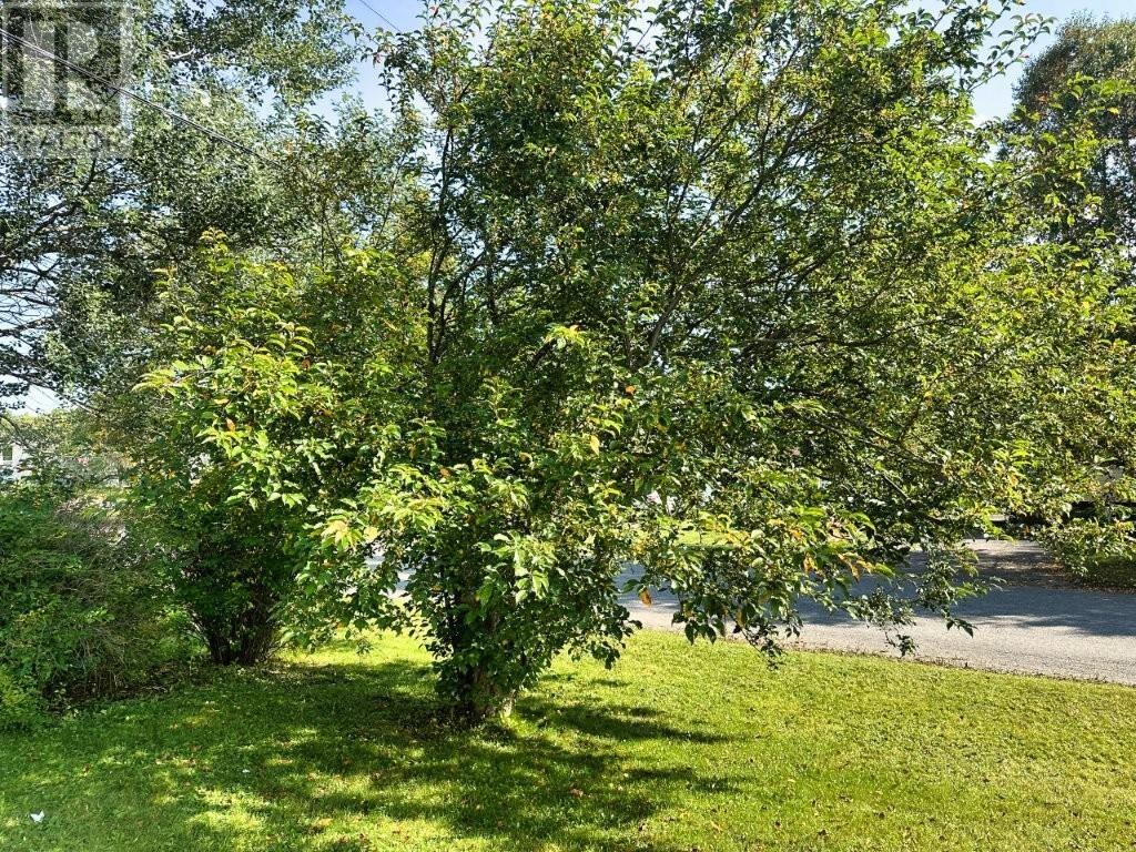 64 Parkway Place - 48