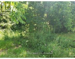 Part Lot 28 12 Concession S, Arran Elderslie, ON N0H1L0 Photo 6