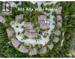 801 3050 Hillcrest Drive, Whistler, BC V8E0T8 Photo 20