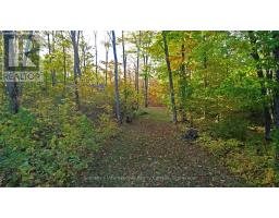 167 Maple Lane E, Central Manitoulin, ON P0P1S0 Photo 31