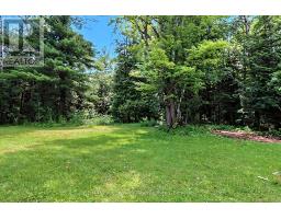 7363 Sideroad 33 34 Road, Clearview, ON L0M1S0 Photo 33