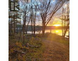 1083 Thomas Road, Gravenhurst, ON P1P1R3 Photo 7