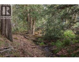 East Rd, Denman Island, BC V0R1T0 Photo 8