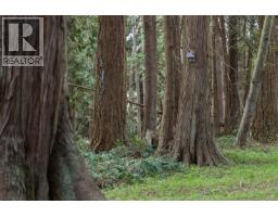 East Rd, Denman Island, BC V0R1T0 Photo 15