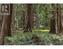 East Rd, Denman Island, BC V0R1T0 Photo 18