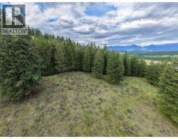 6674 Wardner-kikomun Road Lot# 5, Wardner, BC V0B2J0 Photo 10