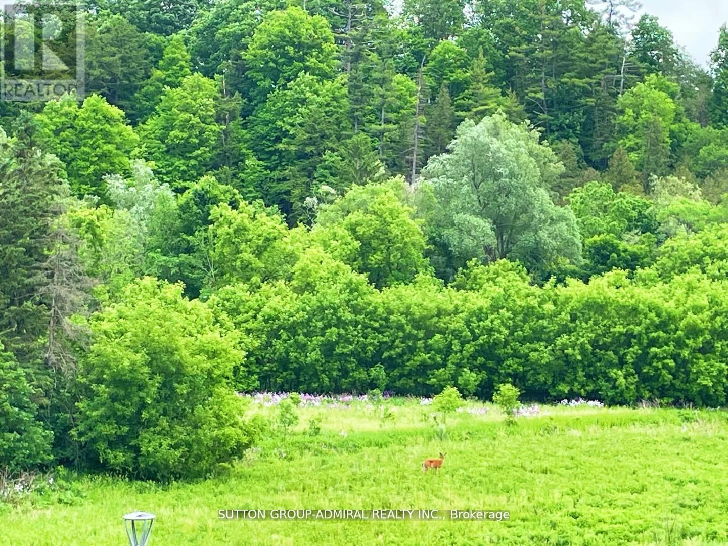#3 196 PINE GROVE ROAD - 31
