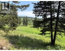 Lot 1 Copper Creek Rd Road, Kamloops, BC V0K2J0 Photo 6