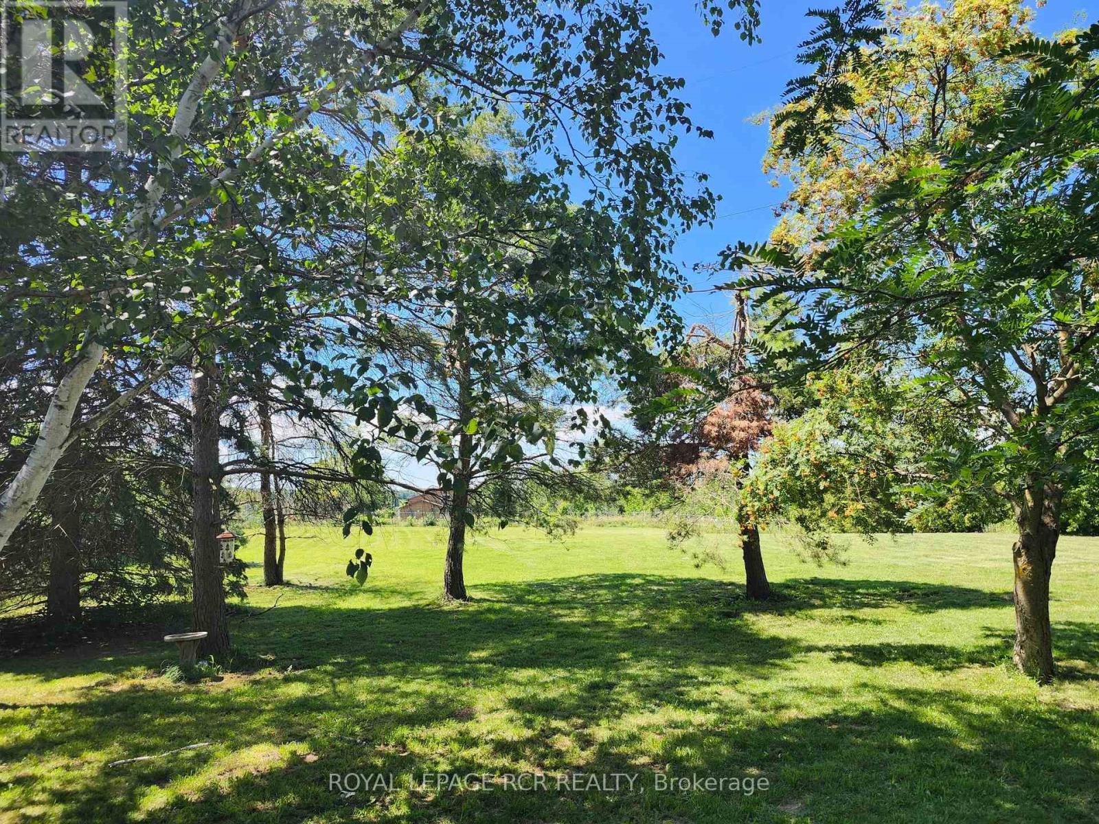 4044 RAVENSHOE ROAD - 5