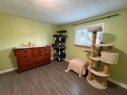 9 Sandale Drive, Winnipeg, MB R2N1A1 Photo 19