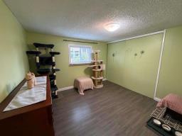 9 Sandale Drive, Winnipeg, MB R2N1A1 Photo 20