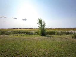51 Feathertail Way, New Bothwell, MB R0A1C0 Photo 14
