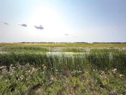 51 Feathertail Way, New Bothwell, MB R0A1C0 Photo 15