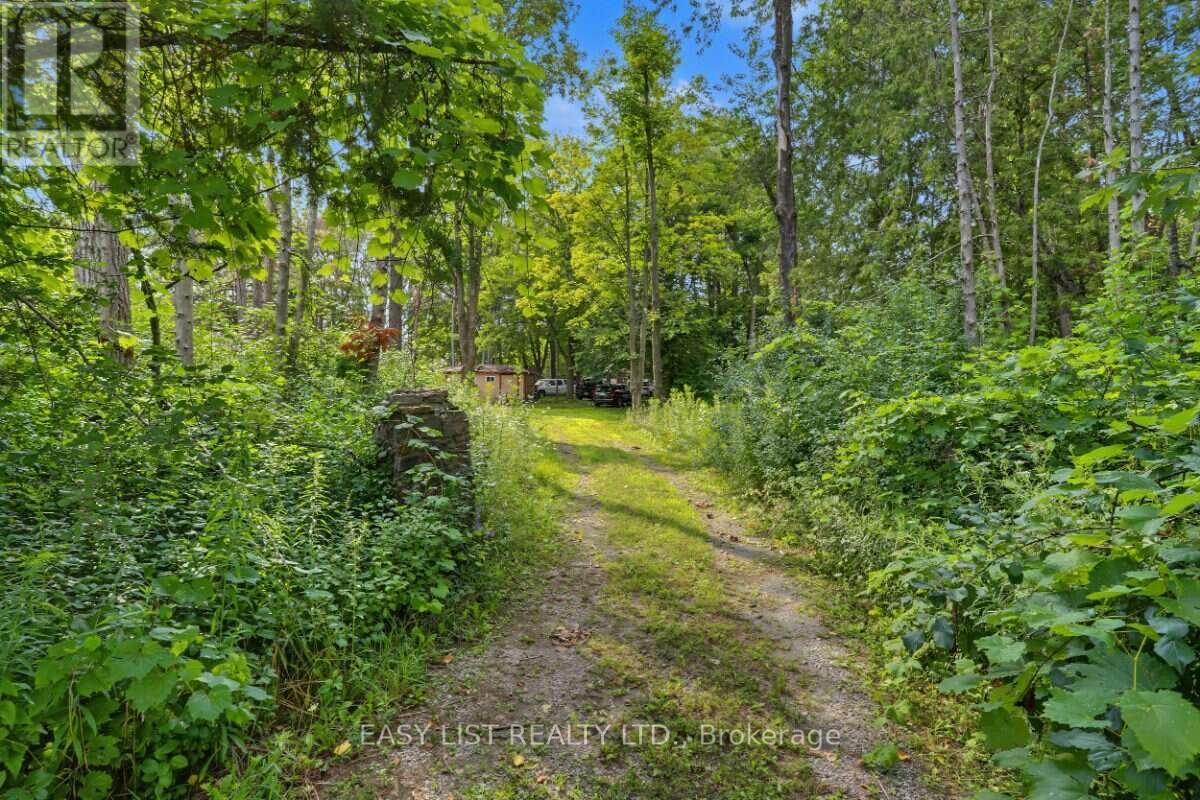 51 LESLIE FROST LANE - Image 13