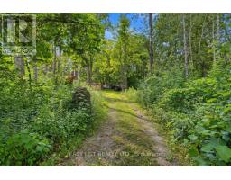 51 Leslie Frost Lane, Kawartha Lakes, ON K9V4R6 Photo 13
