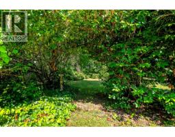 2625 Urquhart Ave, Courtenay, BC V9N6T6 Photo 83