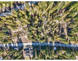 Castle Heights Lot# 53, Anglemont, BC V0E1M8 Photo 11