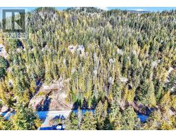 Castle Heights Lot# 53, Anglemont, BC V0E1M8 Photo 17