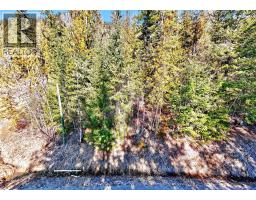 Castle Heights Lot# 53, Anglemont, BC V0E1M8 Photo 18