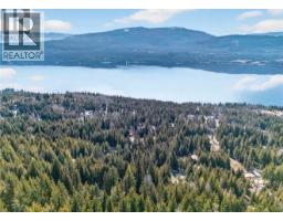 Castle Heights Lot# 53, Anglemont, BC V0E1M8 Photo 21
