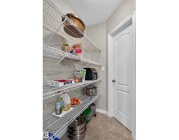 9515 221 St Nw, Edmonton, AB T5T4A8 Photo 19