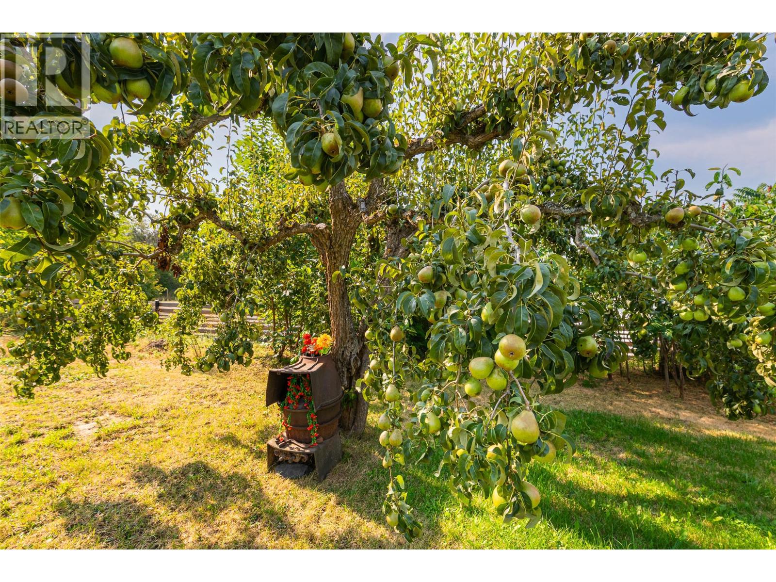 1843 McLaren Street, Creston