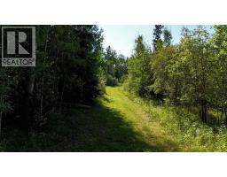14132 Township Road 570 Road, Rural Yellowhead County, AB T7E3Z7 Photo 41