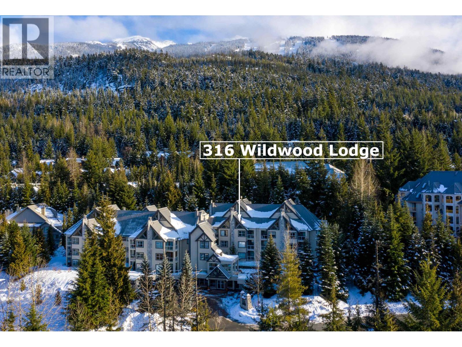 316 4749 SPEARHEAD DRIVE, Whistler
