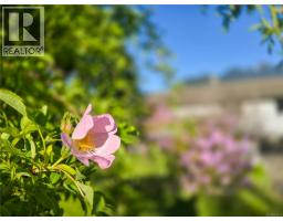 221 Spar St, Sayward, BC V0P1R0 Photo 86